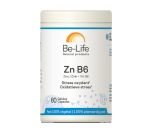 Zn B6